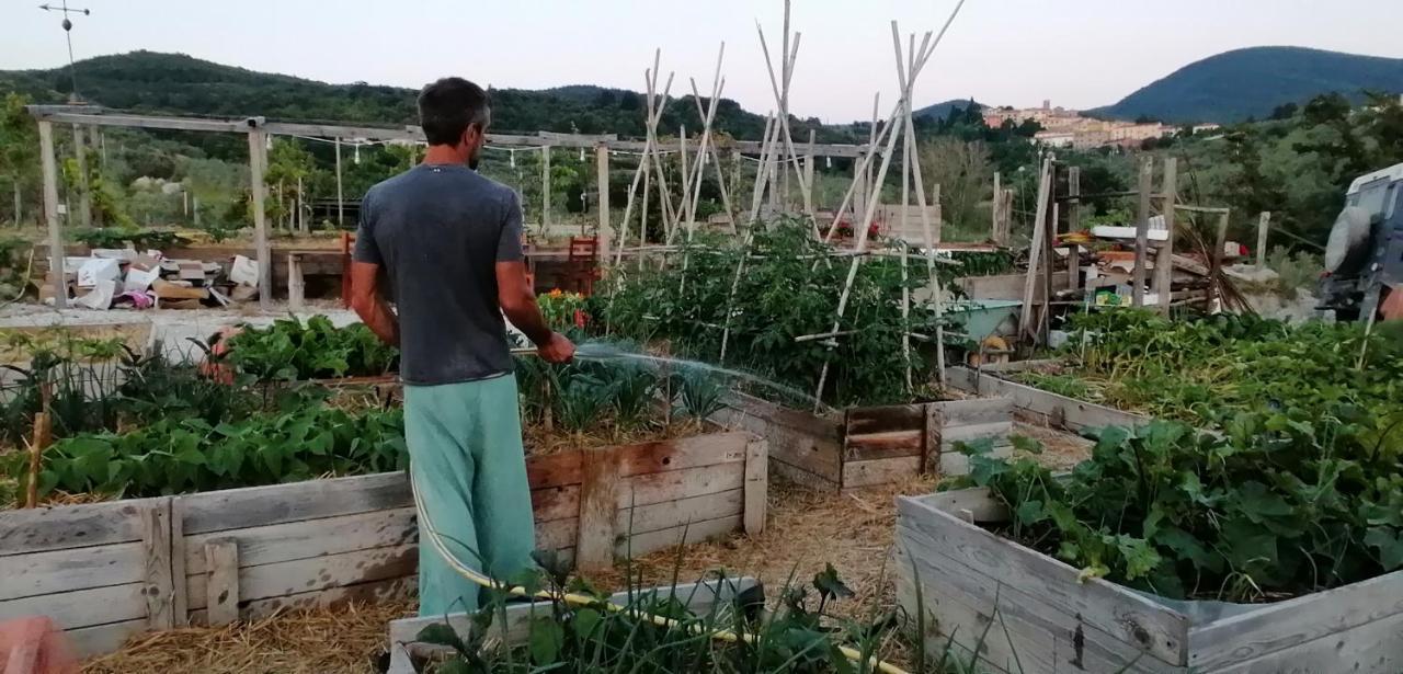 Farm stay Podere Il Fornacino *