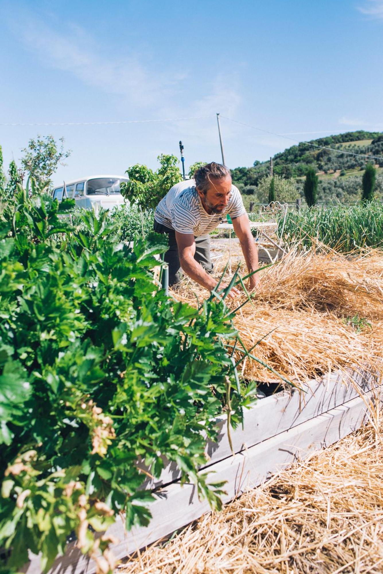 Farm stay Podere Il Fornacino
