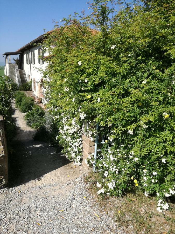 Podere Il Fornacino Santa Luce