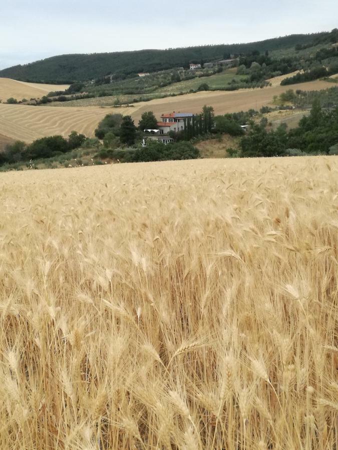 Farm stay Podere Il Fornacino Santa Luce